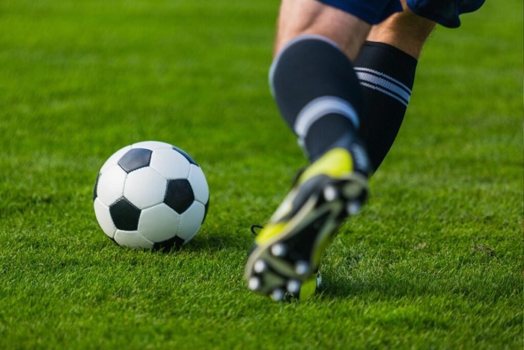Palmeiras responde após críticas de jogadores do Flamengo ao gramado do Maracanã